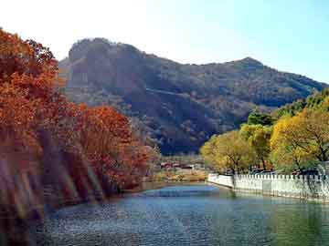 天山綠洲四期最新動(dòng)態(tài)與杭州草坪婚禮價(jià)格概覽